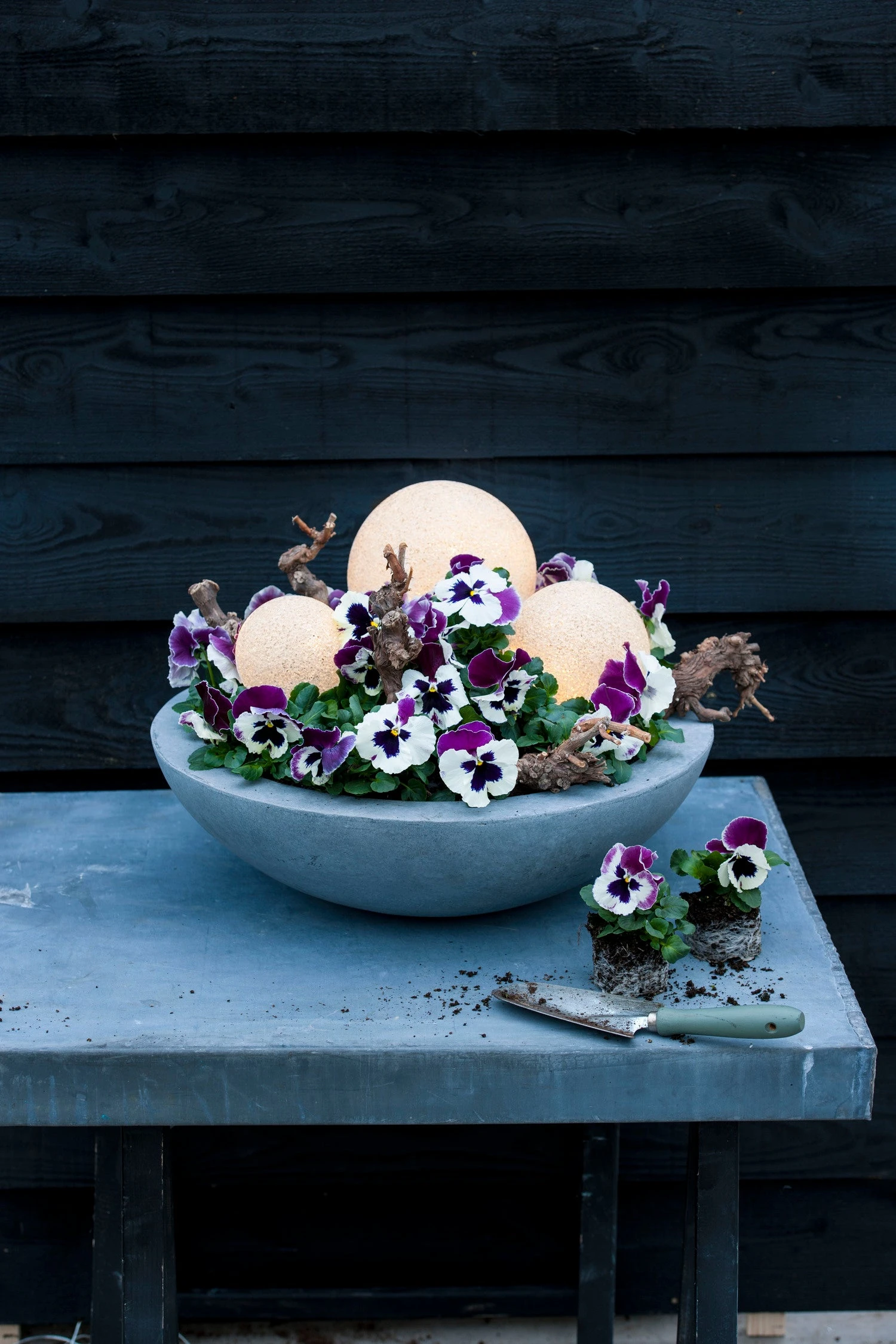 Intratuin Schaal Modern XL D 44 H 12,6 Cm Antraciet 2 Intratuin Schaal Modern XL D 44 H 12,6 Cm Antraciet - Afbeelding 2