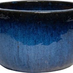 Intratuin Schaal Blauw D 29,5 H 17,5 Cm