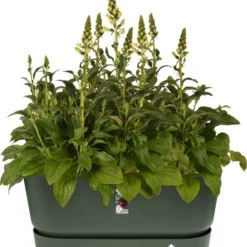 Elho Plantenbak Greenville Groen 78 X 35 X 33,5 Cm