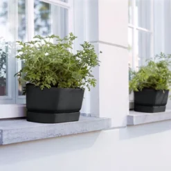 Elho Plantenbak Greenville Zwart 69 X 20 X 18 Cm -Boom Hart Verkoopwinkel 8711904357702 3