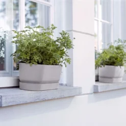 Elho Plantenbak Greenville Grijs 69 X 20 X 18 Cm -Boom Hart Verkoopwinkel 8711904357764 3