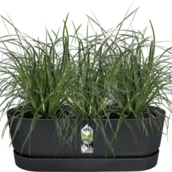 Elho Plantenbak Greenville Zwart 52 X 21,2 X 19,4 Cm