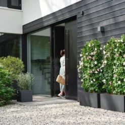 Elho Plantenbak Vivo Next Zwart 30 X 30 X 30 Cm -Boom Hart Verkoopwinkel 8711904499266 3