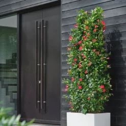 Elho Plantenbak Vivo Next Wit 59 X 29,5 X 29 Cm -Boom Hart Verkoopwinkel 8711904499600 5