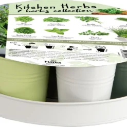 Florex Kruidenzaden Dienblad Met 7 Keukenkruiden