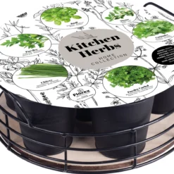 Florex Kruidenzaden Dienblad Met 6 Keukenkruiden D 26 H 10 Cm