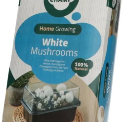 Mini Champ Home Growing Witte Champignons 27,7 X 8,6 X 17,5 Cm