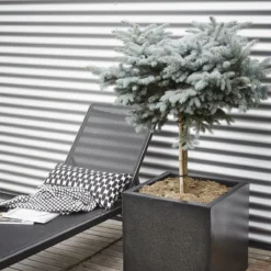 Capi Europe Plantenbak Lux Terrazzo Zwart 20 X 20 X 20 Cm 5 Capi Europe Plantenbak Lux Terrazzo Zwart 20 X 20 X 20 Cm -Boom Hart Verkoopwinkel 8716443139017 2