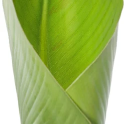 Boom Hart Verkoopwinkel -Boom Hart Verkoopwinkel 8717263115687