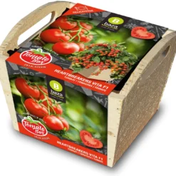 Baza Tomato Box Tomaat (Solanum Lycopersicum 'Heartbreakers Vita F1')