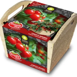 Baza Tomato Box Tomaat (Solanum Lycopersicum 'Minibel')